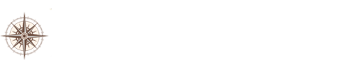 light logo